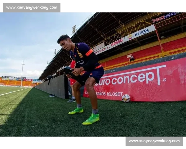 全面体育数据查询平台助力球员比赛分析与成绩追踪